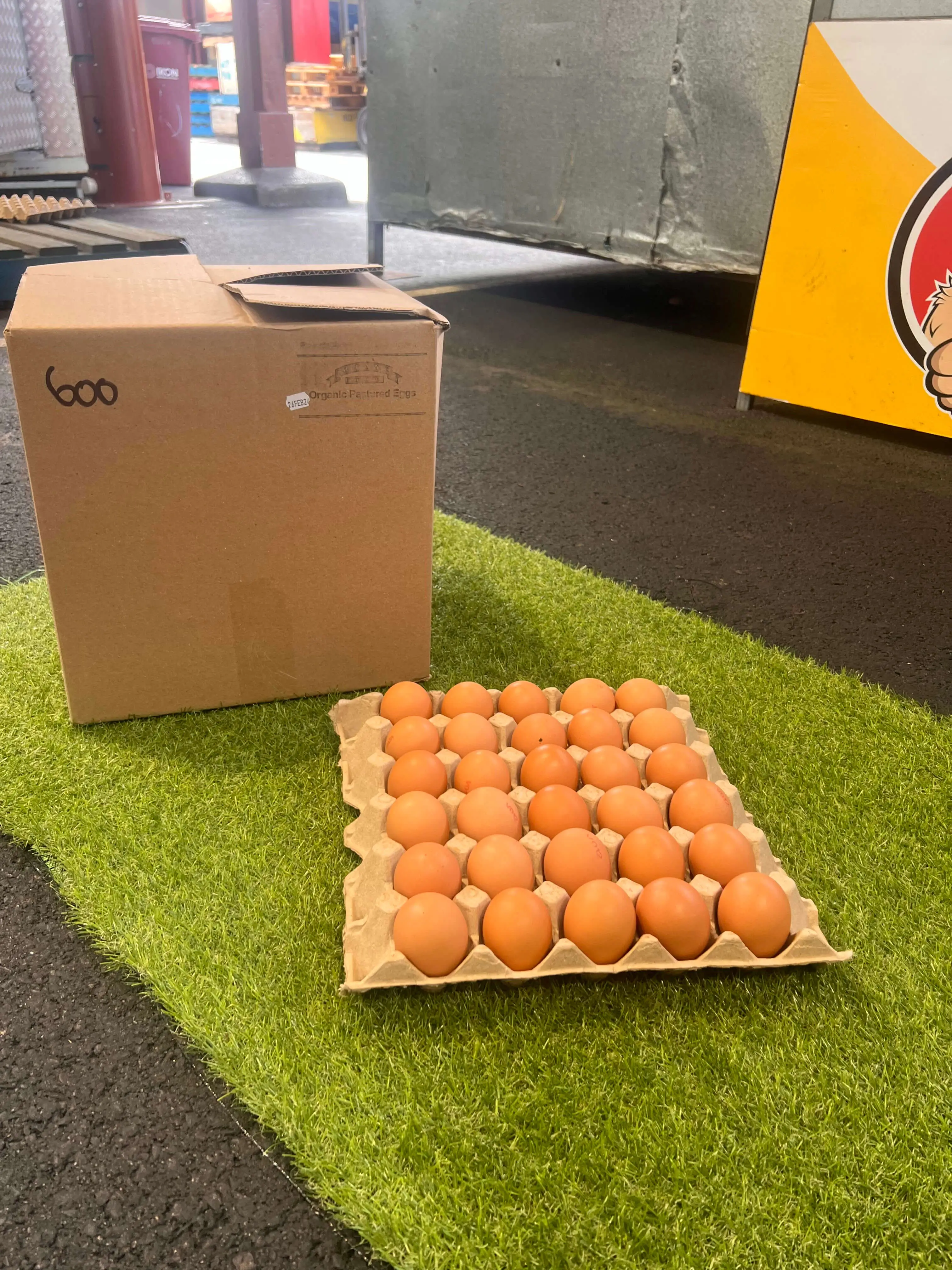 600 Organic Trays