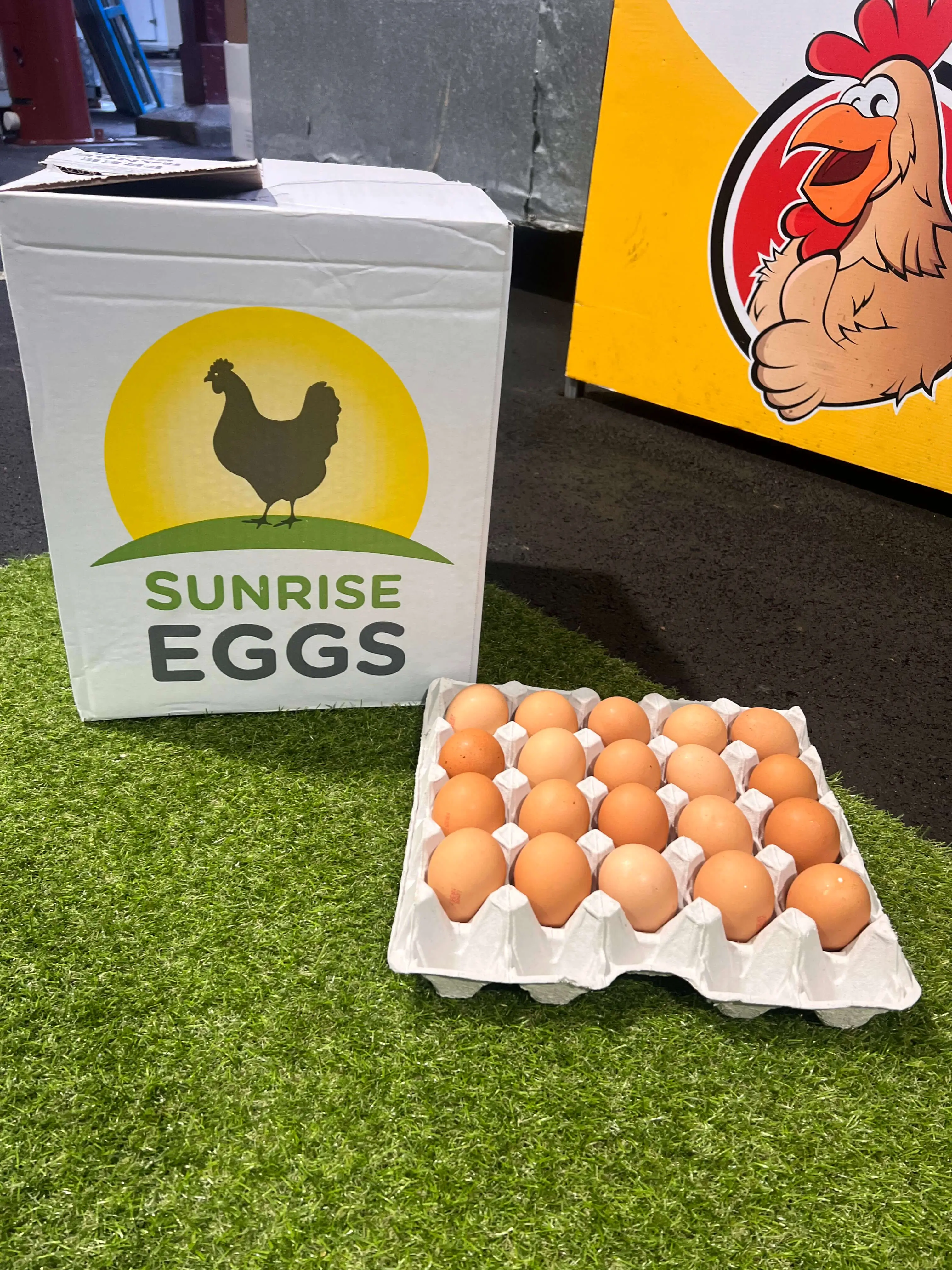 75+ Free Range Trays